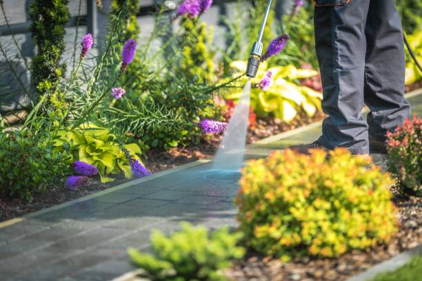Reliable Kendall Park, NJ Pressure Washing Services Solutions